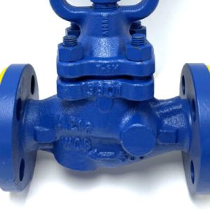 Steam Globe Valve Kenya, DN32 Valve, 1 1/4 Inch Globe Valve, Boiler Valve, Industrial Valve East Africa