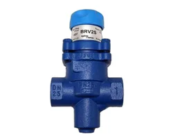 SV615 safety relief valve for steam boiler system