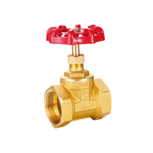 1½ Inch Globe Valve supplied by Jamco Industrial System Limited in Kenya